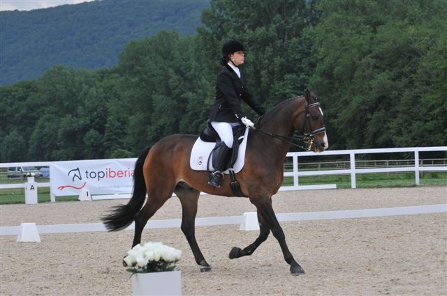 Campeonatos de España y de Europa Paraecuestre junto con el Ranking FEI 2011